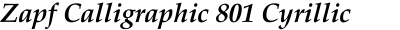 Zapf Calligraphic 801 Cyrillic